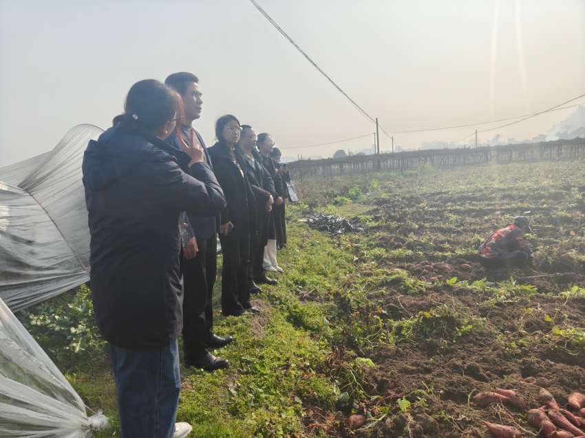 ������һ�е��趴����к�����ҵ��չ�����