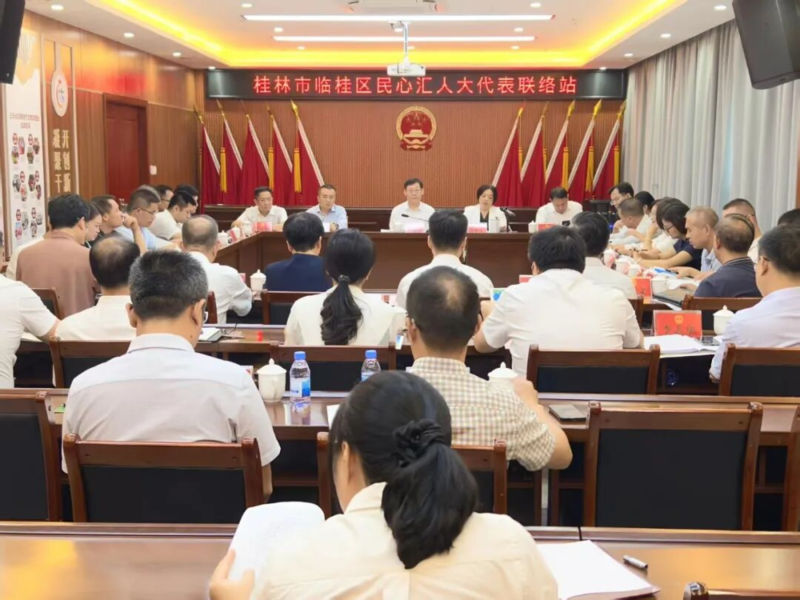 李春阳以人大代表身份到临桂区民心汇人大…